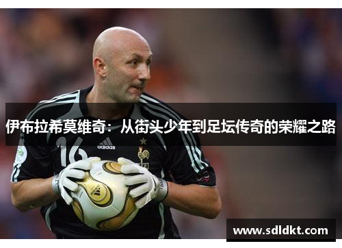 伊布拉希莫维奇：从街头少年到足坛传奇的荣耀之路