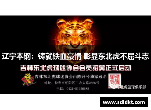 辽宁本钢：铸就铁血豪情 彰显东北虎不屈斗志