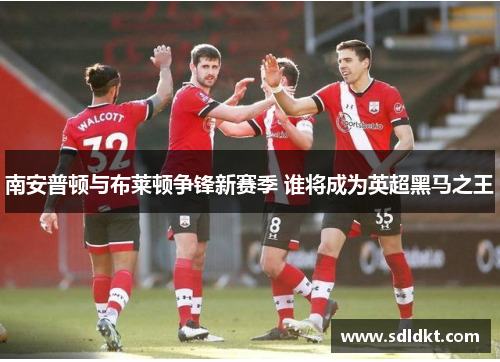 南安普顿与布莱顿争锋新赛季 谁将成为英超黑马之王